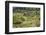 Spanish Balearic Islands, Island Majorca, Serra De Tramuntana, Terrace Fields, Donkeys-Chris Seba-Framed Photographic Print