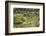 Spanish Balearic Islands, Island Majorca, Serra De Tramuntana, Terrace Fields, Donkeys-Chris Seba-Framed Photographic Print