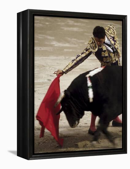 Spanish Bullfighter Camargue France-null-Framed Premier Image Canvas