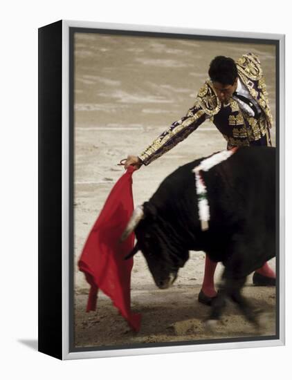 Spanish Bullfighter Camargue France-null-Framed Premier Image Canvas