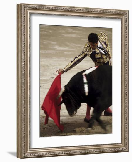 Spanish Bullfighter Camargue France-null-Framed Photographic Print