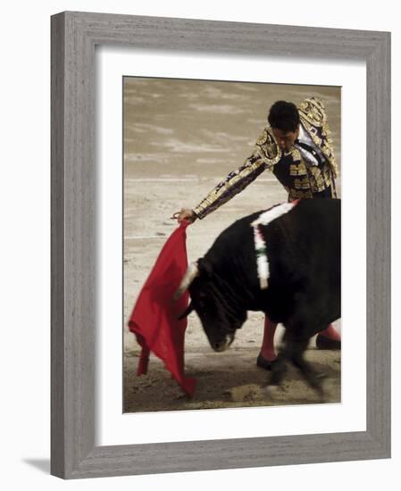 Spanish Bullfighter Camargue France-null-Framed Photographic Print