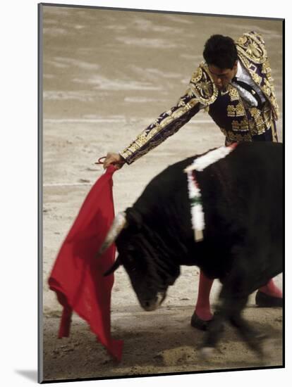 Spanish Bullfighter Camargue France-null-Mounted Photographic Print