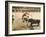 Spanish Bullfighting-null-Framed Photographic Print