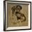 Spanish Cock and Snail-Joseph Crawhall-Framed Giclee Print