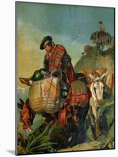 Spanish Contrabandista, 1861-Richard Ansdell-Mounted Giclee Print