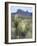 Spanish Dagger in Blossom Below Crown Mountain, Chihuahuan Desert, Big Bend National Park, Texas-Scott T. Smith-Framed Photographic Print