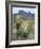 Spanish Dagger in Blossom Below Crown Mountain, Chihuahuan Desert, Big Bend National Park, Texas-Scott T. Smith-Framed Photographic Print