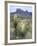 Spanish Dagger in Blossom Below Crown Mountain, Chihuahuan Desert, Big Bend National Park, Texas-Scott T. Smith-Framed Photographic Print