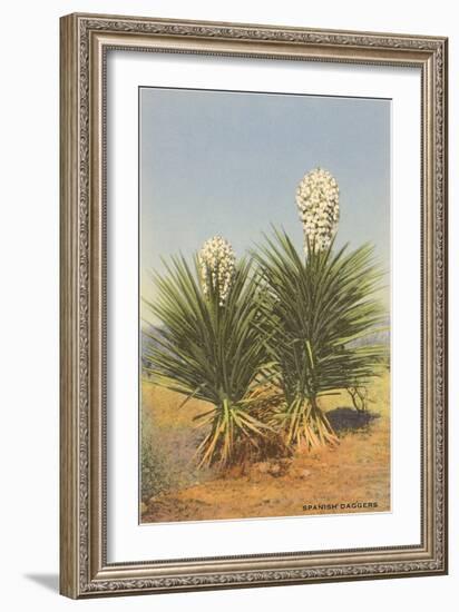 Spanish Daggers, Yuccas-null-Framed Art Print