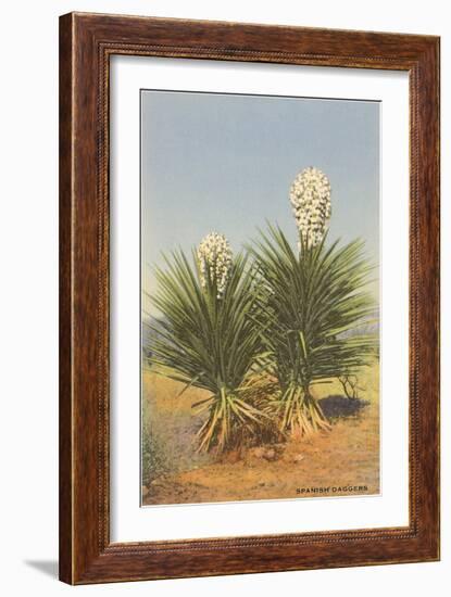 Spanish Daggers, Yuccas-null-Framed Premium Giclee Print