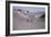 Spanish Grand Prix, Jarama, Madrid, 1968-null-Framed Photographic Print