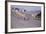 Spanish Grand Prix, Jarama, Madrid, 1968-null-Framed Photographic Print