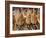 Spanish Hams Hanging in a Restaurant Bodega, Seville, Andalusia, Spain, Europe-Guy Thouvenin-Framed Photographic Print