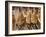 Spanish Hams Hanging in a Restaurant Bodega, Seville, Andalusia, Spain, Europe-Guy Thouvenin-Framed Photographic Print