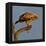 Spanish imperial eagle on a branch, looking down, Spain-Loic Poidevin-Framed Premier Image Canvas