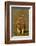 Spanish imperial eagle portrait, Spain-Loic Poidevin-Framed Photographic Print