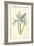 Spanish Iris-Frederick Edward Hulme-Framed Giclee Print