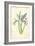 Spanish Iris-Frederick Edward Hulme-Framed Giclee Print