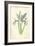 Spanish Iris-Frederick Edward Hulme-Framed Giclee Print