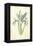 Spanish Iris-Frederick Edward Hulme-Framed Premier Image Canvas