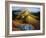 Spanish Landscape with Mountains-Dora Carrington-Framed Giclee Print