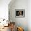 Spanish Mastiff Portrait-Adriano Bacchella-Framed Photographic Print displayed on a wall