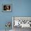 Spanish Mastiff Portrait-Adriano Bacchella-Framed Photographic Print displayed on a wall