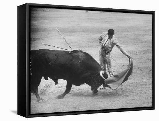 Spanish Matador Antonio Ordonez Executing Left Handed Pass Called "Pase Natural" During Bullfight-Loomis Dean-Framed Premier Image Canvas