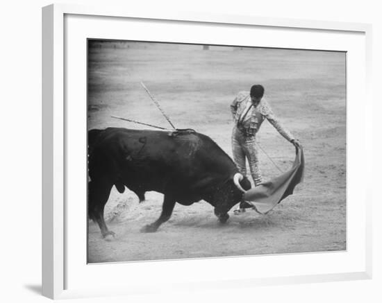 Spanish Matador Antonio Ordonez Executing Left Handed Pass Called "Pase Natural" During Bullfight-Loomis Dean-Framed Premium Photographic Print