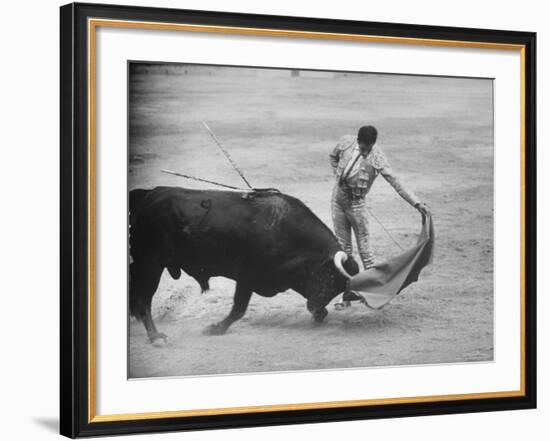 Spanish Matador Antonio Ordonez Executing Left Handed Pass Called "Pase Natural" During Bullfight-Loomis Dean-Framed Premium Photographic Print