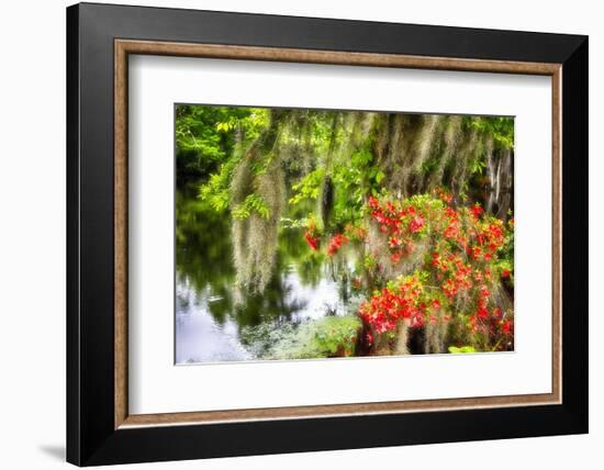 Spanish Moss and Azalea, South Carolina-George Oze-Framed Photographic Print