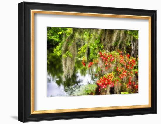 Spanish Moss and Azalea, South Carolina-George Oze-Framed Photographic Print