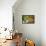 Spanish Moss and Azalea, South Carolina-George Oze-Framed Premier Image Canvas displayed on a wall