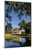 Spanish moss covered tree and plantation house, Charleston, South Carolina.-Michael DeFreitas-Mounted Photographic Print