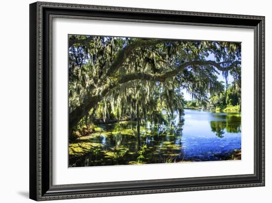 Spanish Moss I-Alan Hausenflock-Framed Photographic Print