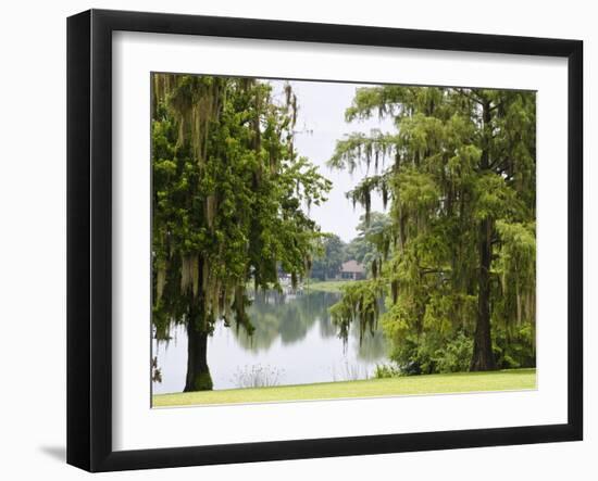 Spanish Moss, Orlando, Florida, United States of America, North America-Michael DeFreitas-Framed Photographic Print