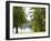 Spanish Moss, Orlando, Florida, United States of America, North America-Michael DeFreitas-Framed Photographic Print