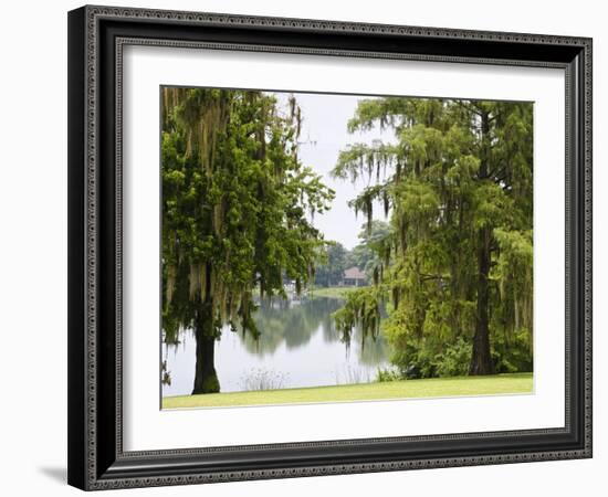 Spanish Moss, Orlando, Florida, United States of America, North America-Michael DeFreitas-Framed Photographic Print