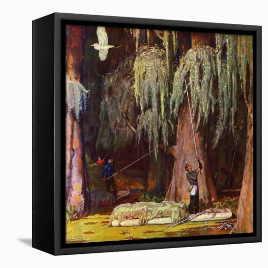 "Spanish Moss pickers," April 5, 1947-Mead Schaeffer-Framed Premier Image Canvas