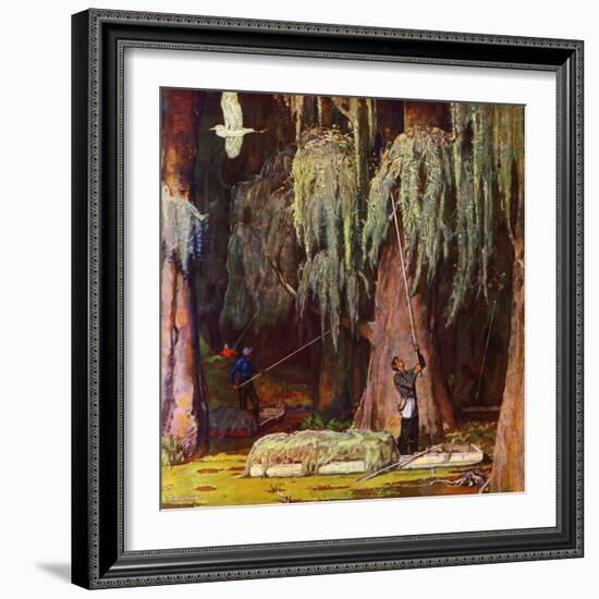 "Spanish Moss pickers," April 5, 1947-Mead Schaeffer-Framed Giclee Print