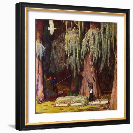 "Spanish Moss pickers," April 5, 1947-Mead Schaeffer-Framed Giclee Print