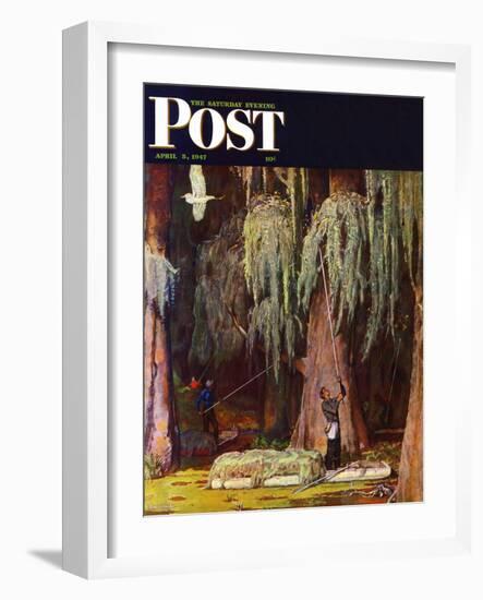 "Spanish Moss pickers," Saturday Evening Post Cover, April 5, 1947-Mead Schaeffer-Framed Giclee Print