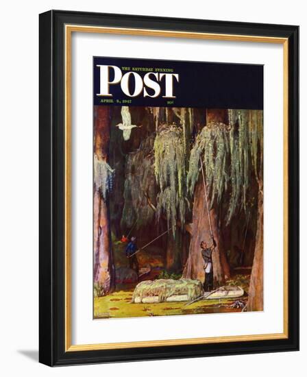 "Spanish Moss pickers," Saturday Evening Post Cover, April 5, 1947-Mead Schaeffer-Framed Giclee Print