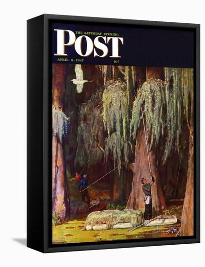 "Spanish Moss pickers," Saturday Evening Post Cover, April 5, 1947-Mead Schaeffer-Framed Premier Image Canvas