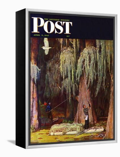 "Spanish Moss pickers," Saturday Evening Post Cover, April 5, 1947-Mead Schaeffer-Framed Premier Image Canvas