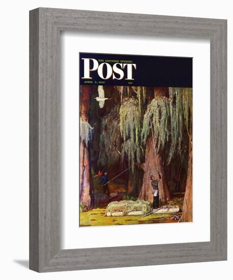 "Spanish Moss pickers," Saturday Evening Post Cover, April 5, 1947-Mead Schaeffer-Framed Giclee Print