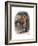 Spanish Muleteer, 1809-W Dickes-Framed Giclee Print