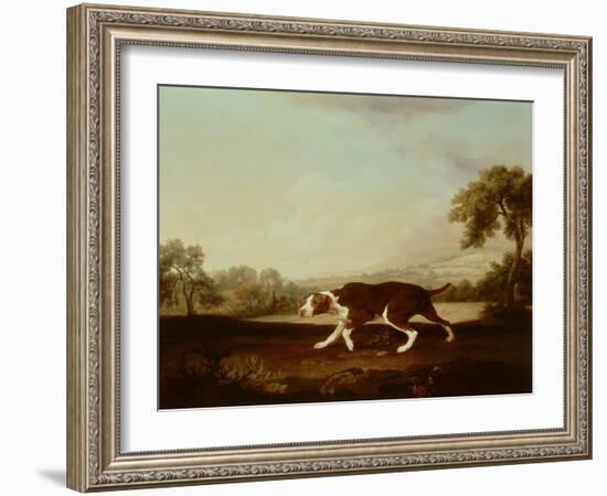 Spanish Pointer-George Stubbs-Framed Giclee Print