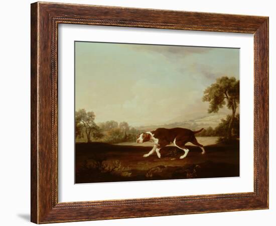 Spanish Pointer-George Stubbs-Framed Giclee Print